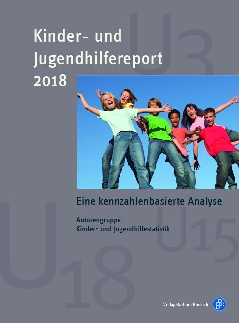 Kinder- und Jugendhilfereport 2018 (Paperback)