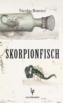Skorpionfisch (Paperback)