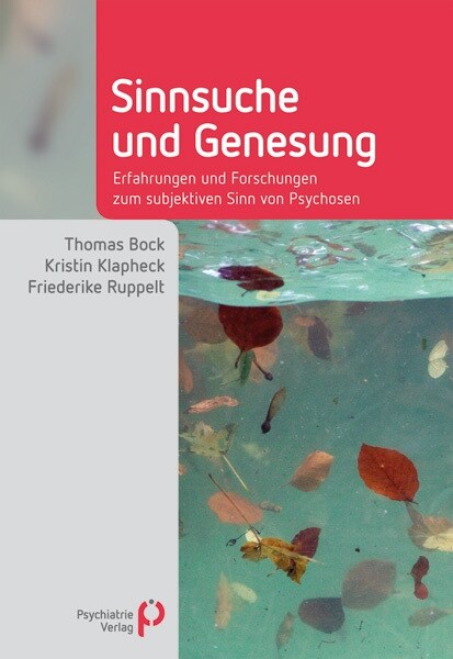 Sinnsuche und Genesung (Hardcover)