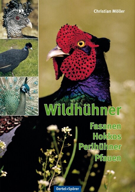 Wildhuhner (Hardcover)