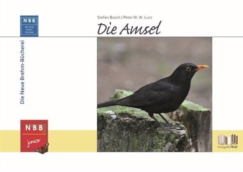 Die Amsel (Hardcover)