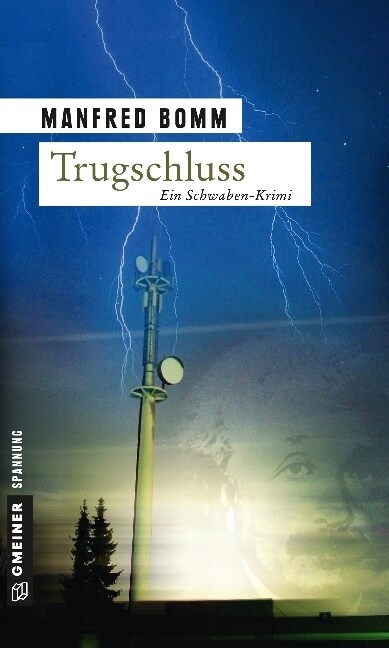 Trugschluss (Paperback)