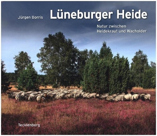 Luneburger Heide (Hardcover)