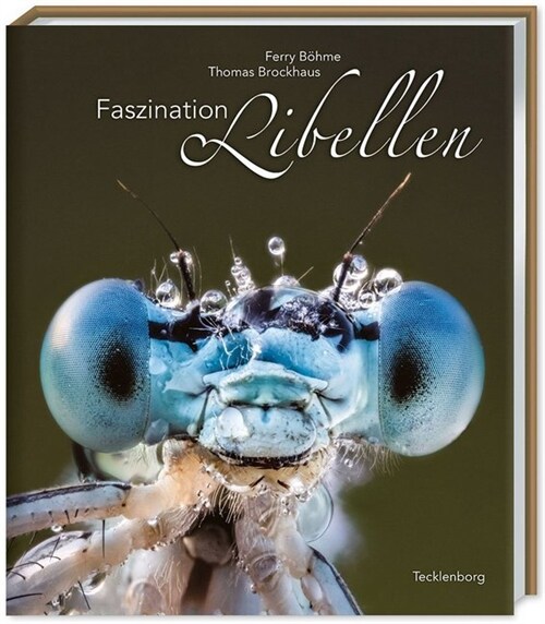 Faszination Libellen (Hardcover)