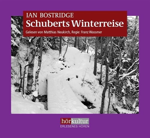 Schuberts Winterreise, 1 MP3-CD (CD-Audio)