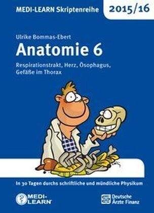 Anatomie 2015/16. Bd.6 (Paperback)