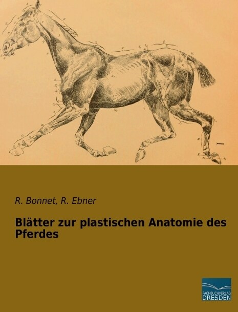 Blatter zur plastischen Anatomie des Pferdes (Paperback)