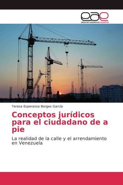 Conceptos jur?icos para el ciudadano de a pie (Paperback)