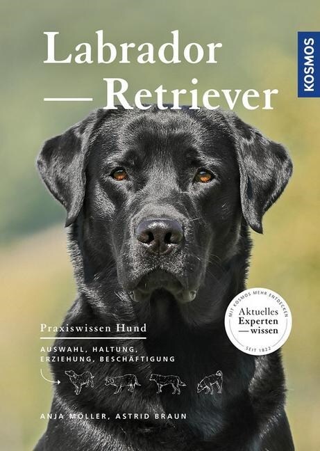 Labrador Retriever (Hardcover)
