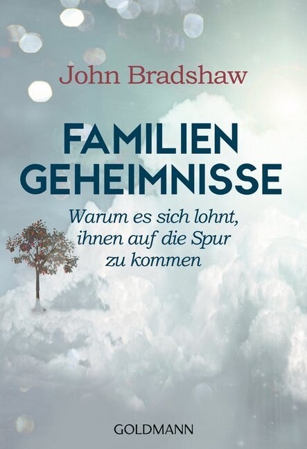 Familiengeheimnisse (Paperback)