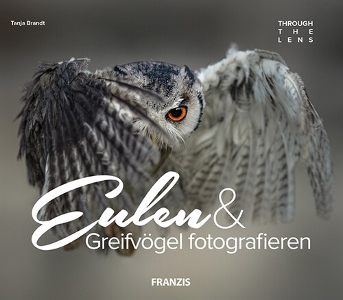 Eulen & Greifvogel fotografieren (Hardcover)