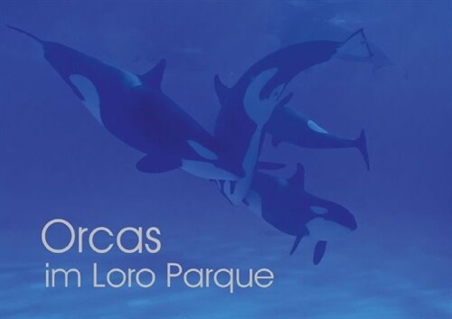 Orcas im Loro Parque (Posterbuch DIN A4 quer) (Calendar)