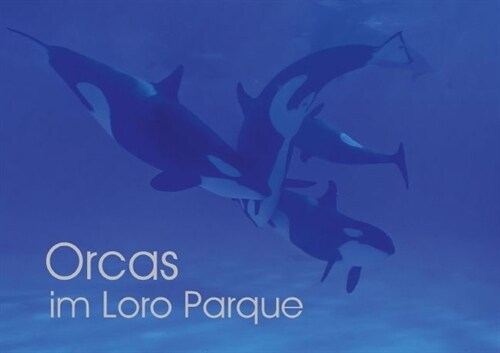 Orcas im Loro Parque (Posterbuch DIN A3 quer) (Calendar)