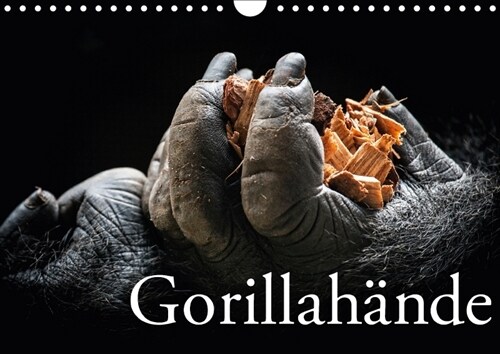 Gorillahande (Wandkalender 2018 DIN A4 quer) (Calendar)