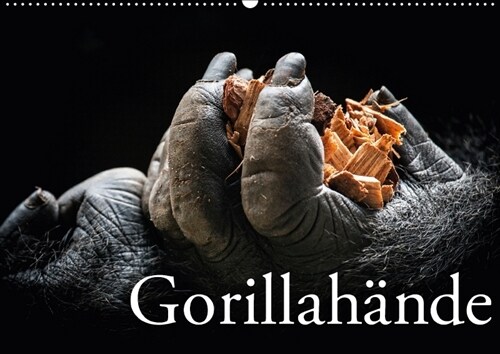 Gorillahande (Wandkalender 2018 DIN A2 quer) (Calendar)