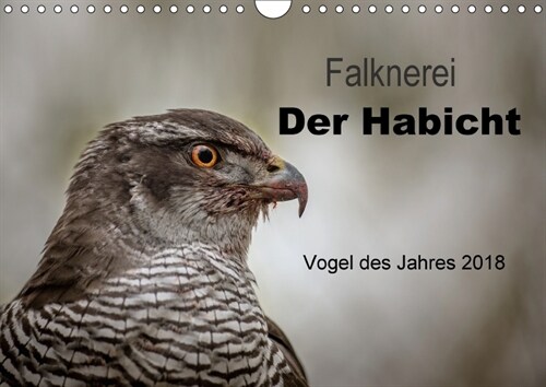 Falknerei Der Habicht (Wandkalender 2018 DIN A4 quer) (Calendar)