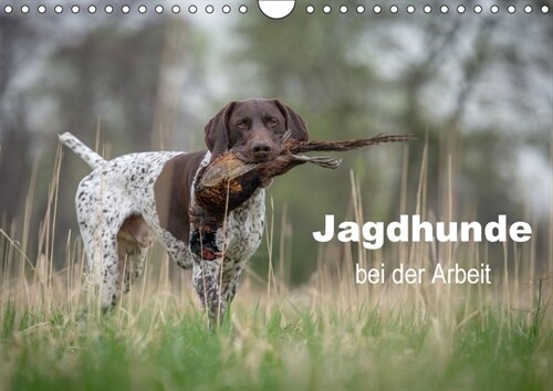 Jagdhunde bei der Arbeit (Wandkalender 2018 DIN A4 quer) (Calendar)