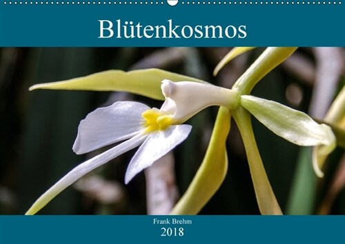 Blutenkosmos (Wandkalender 2018 DIN A2 quer) (Calendar)