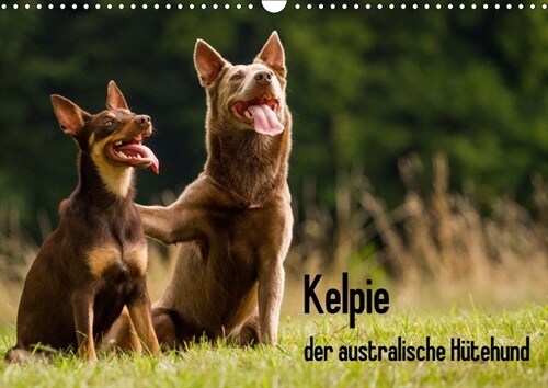 Kelpie - der australische Hutehund (Wandkalender 2018 DIN A3 quer) Dieser erfolgreiche Kalender wurde dieses Jahr mit gleichen Bildern und aktualisier (Calendar)