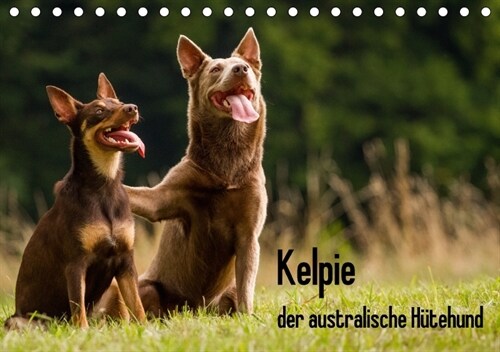 Kelpie - der australische Hutehund (Tischkalender 2018 DIN A5 quer) Dieser erfolgreiche Kalender wurde dieses Jahr mit gleichen Bildern und aktualisie (Calendar)