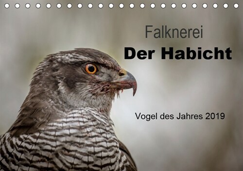 Falknerei Der Habicht (Tischkalender 2019 DIN A5 quer) (Calendar)