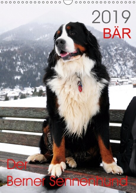 BAR - Der Berner Sennenhund (Wandkalender 2019 DIN A3 hoch) (Calendar)