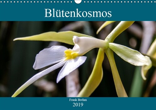 Blutenkosmos (Wandkalender 2019 DIN A3 quer) (Calendar)