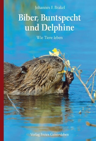 Biber, Buntspecht und Delphine (Hardcover)