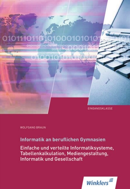 Informatik an beruflichen Gymnasien, Eingangsklasse. Bd.1 (Paperback)