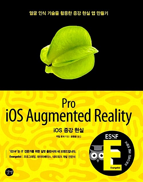 [중고] iOS 증강 현실 Pro iOS Augmented Reality