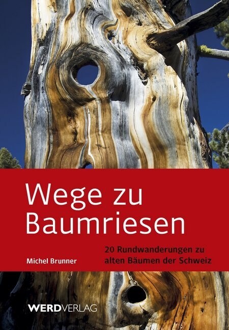 Wege zu Baumriesen (Paperback)