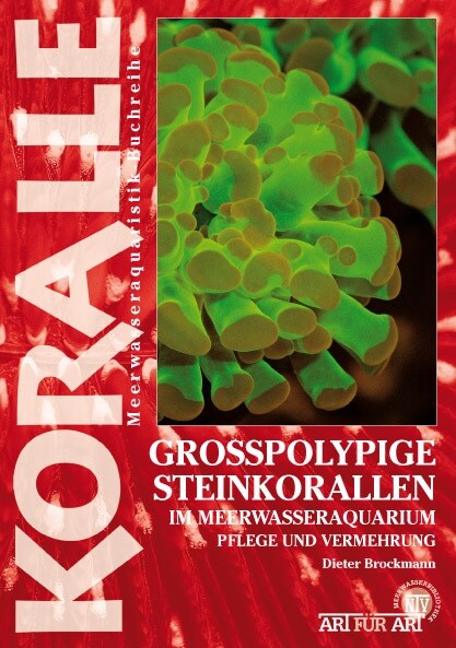 Großpolypige Steinkorallen im Meerwasseraquarium (Paperback)