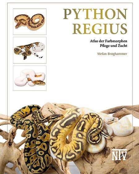 Python regius (Hardcover)
