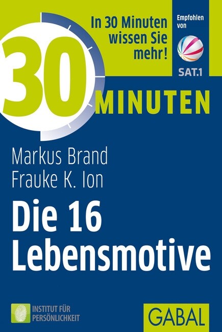 Die 16 Lebensmotive (Paperback)