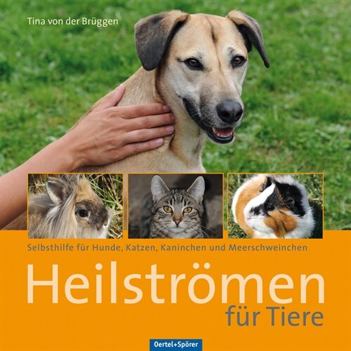 Heilstromen fur Tiere (Hardcover)