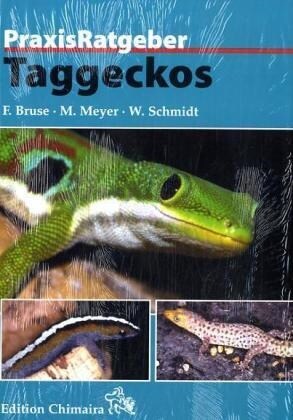 Taggeckos (Hardcover)