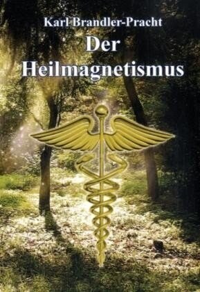 Der Heilmagnetismus (Paperback)
