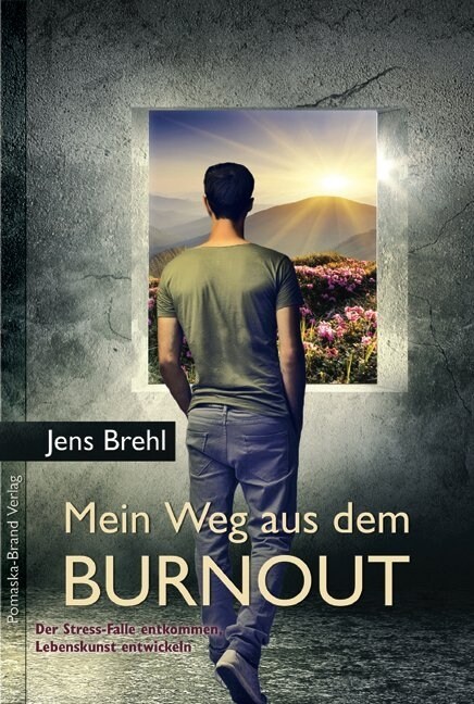 Mein Weg aus dem Burnout (Paperback)