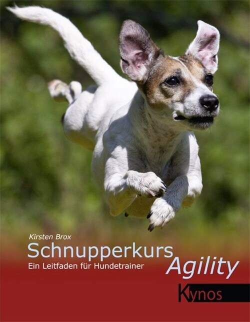 Schnupperkurs Agility (Paperback)