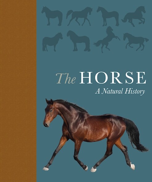 The Horse : A natural history (Hardcover)