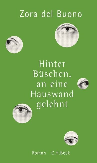 Hinter Buschen, an eine Hauswand gelehnt (Hardcover)