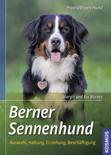 Berner Sennenhund (Paperback)