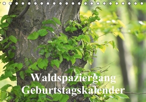 Waldspaziergang/Geburtstagskalender (Tischkalender immerwahrend DIN A5 quer) (Calendar)