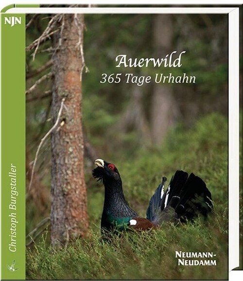 Auerwild - 365 Tage Urhahn (Paperback)