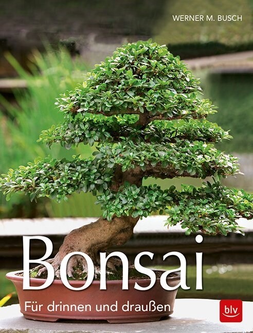 Bonsai (Paperback)