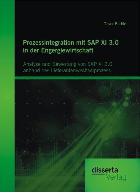 Prozessintegration mit SAP XI 3.0 in der Engergiewirtschaft: Analyse und Bewertung von SAP XI 3.0 anhand des Lieferantenwechselprozess (Paperback)