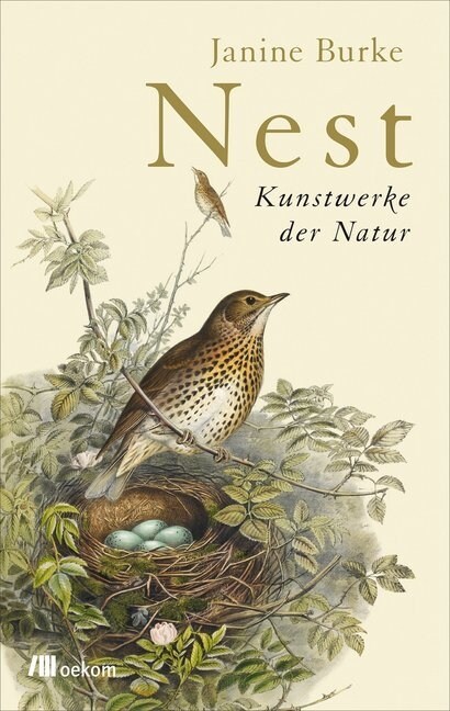 Nest (Hardcover)