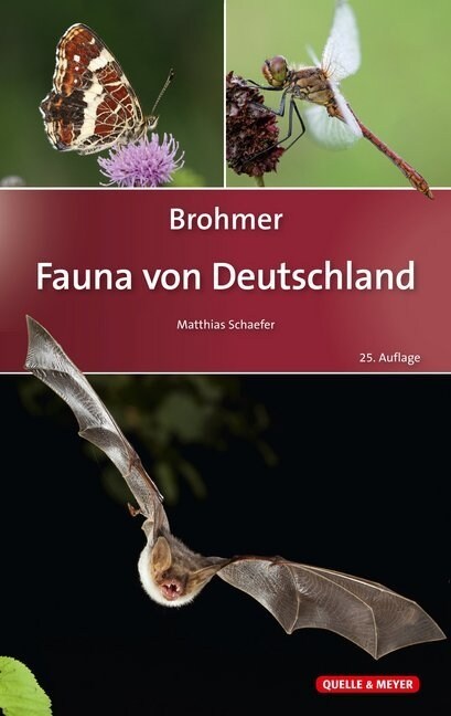 Brohmer - Fauna von Deutschland (Hardcover)