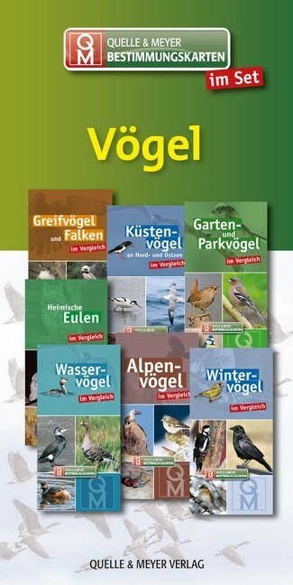 Bestimmungskarten-Set Vogel, 7 Teile (Cards)