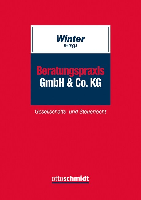 Beratungspraxis GmbH & Co. KG (Paperback)
